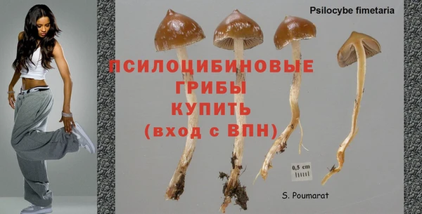 Альфа ПВП Абаза