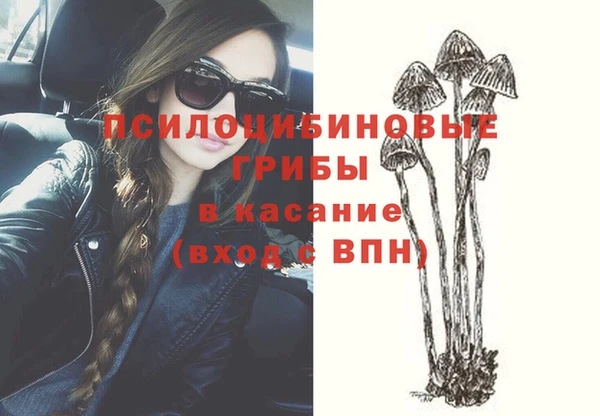 Альфа ПВП Абаза