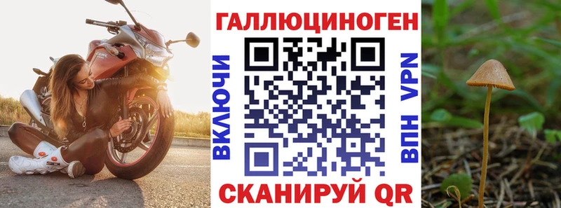 Галлюциногенные грибы Magic Shrooms Кочубеевское
